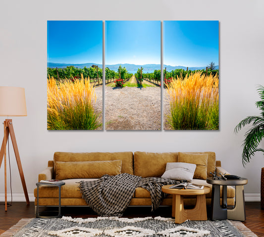 Vineyards Landscape Western Canada British Columbia Canvas Print-Canvas Print-CetArt-1 Panel-24x16 inches-CetArt