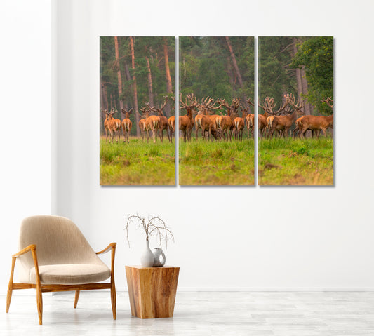 Group of Red Deers in Forest Canvas Print-Canvas Print-CetArt-1 Panel-24x16 inches-CetArt