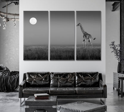 Giraffe in Masai Mara Black and White Canvas Print-Canvas Print-CetArt-1 Panel-24x16 inches-CetArt