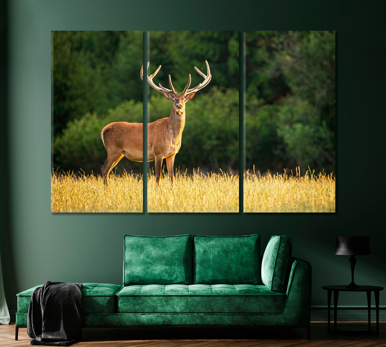 Deer in the Field Canvas Print-Canvas Print-CetArt-1 Panel-24x16 inches-CetArt