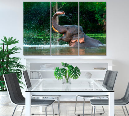 Asian Elephant Enjoying a Bath Canvas Print-Canvas Print-CetArt-1 Panel-24x16 inches-CetArt