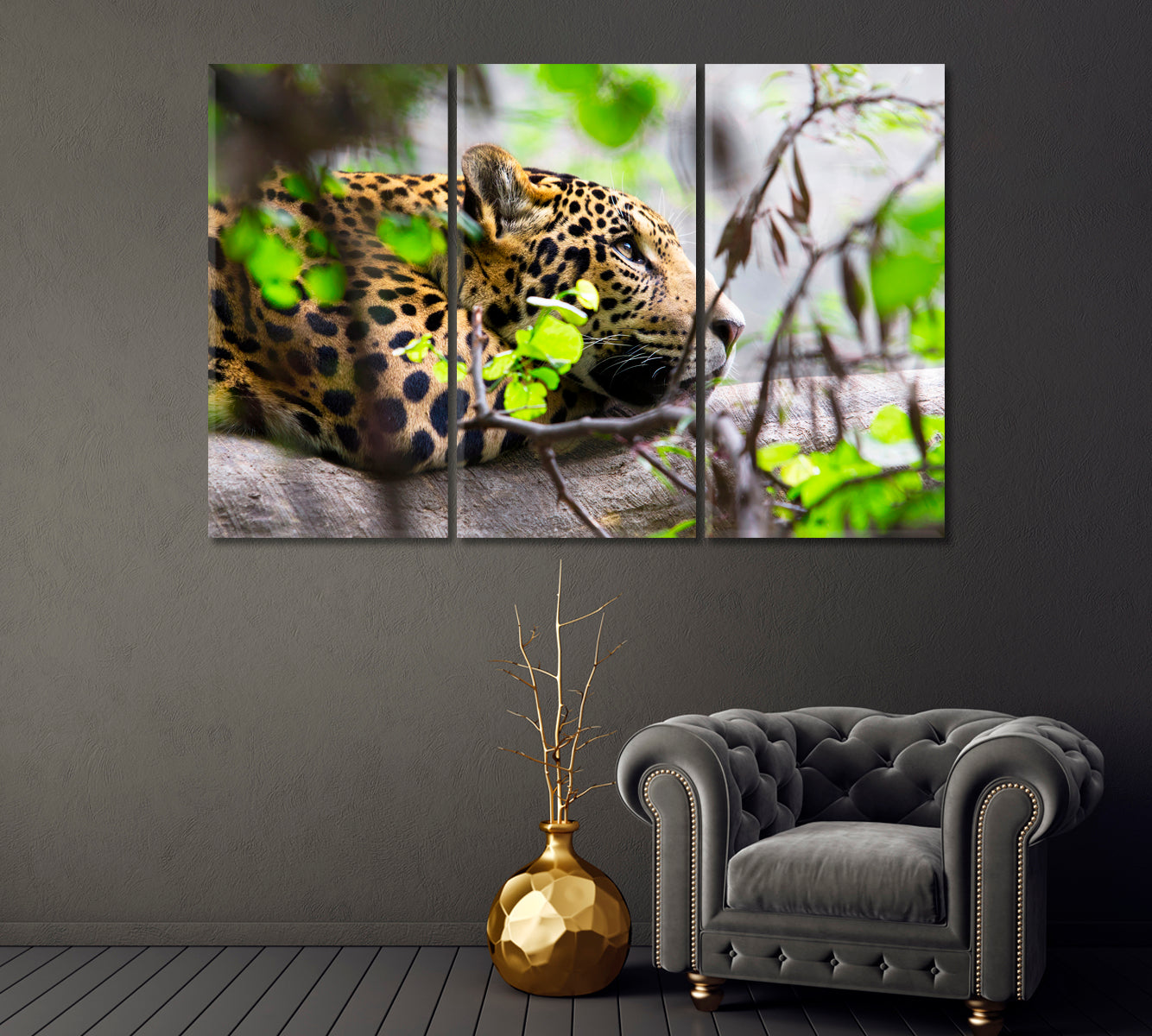 Daydreaming Jaguar South Africa Canvas Print-Canvas Print-CetArt-1 Panel-24x16 inches-CetArt