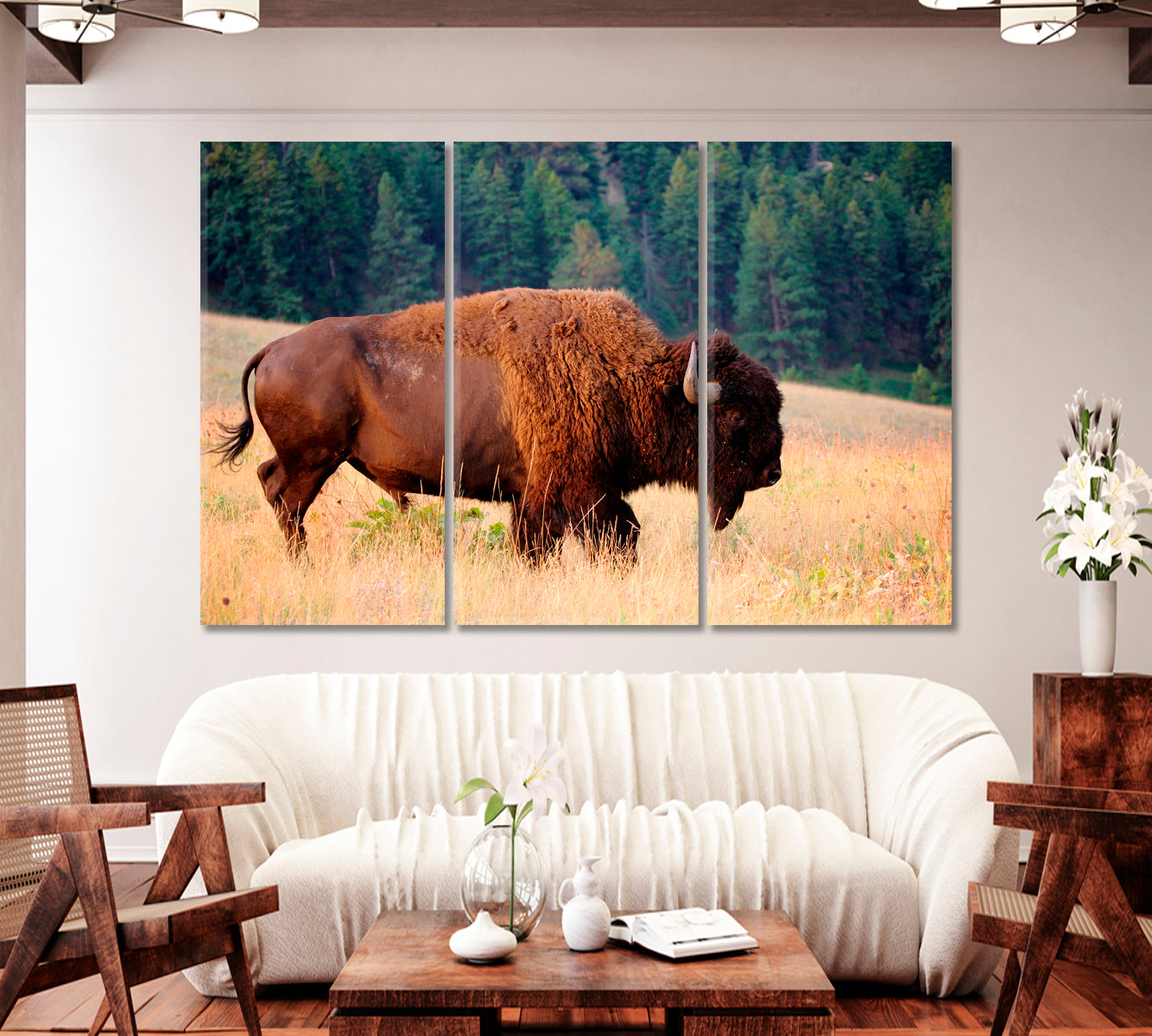 American Bison Buffalo Montana Canvas Print-Canvas Print-CetArt-1 Panel-24x16 inches-CetArt