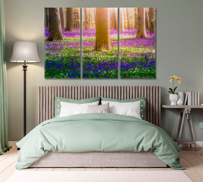 Bluebell Flowers in Hallerbos Forest Belgium Canvas Print-Canvas Print-CetArt-1 Panel-24x16 inches-CetArt