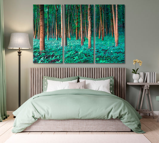 Oak Forest Canvas Print-Canvas Print-CetArt-1 Panel-24x16 inches-CetArt