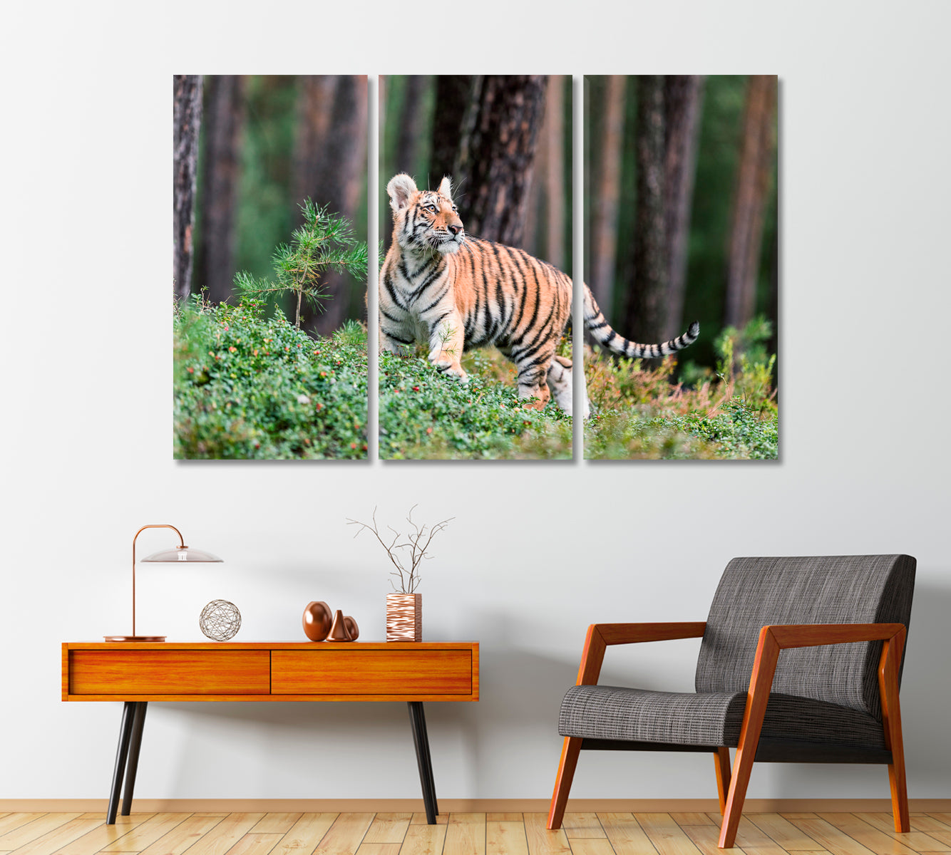 Siberian Tiger in Wildlife Canvas Print-Canvas Print-CetArt-1 Panel-24x16 inches-CetArt