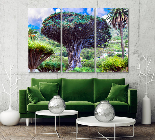 Dragon Tree Canary Island Tenerife Canvas Print-Canvas Print-CetArt-1 Panel-24x16 inches-CetArt