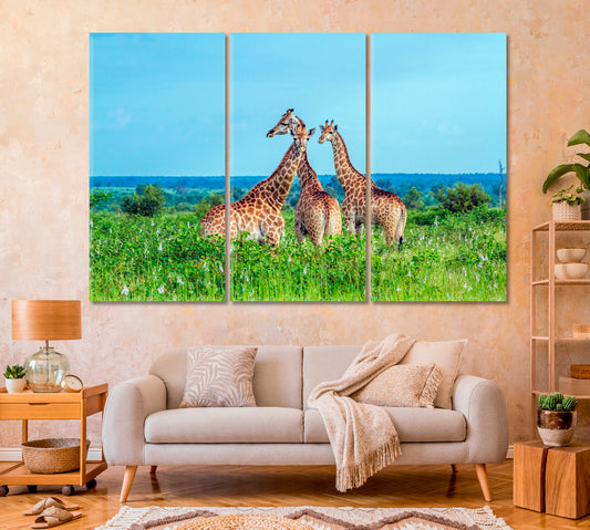 Three Giraffes in Kruger National Park Africa Canvas Print-Canvas Print-CetArt-1 Panel-24x16 inches-CetArt