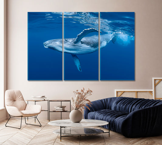 Humpback Whale Cub in Blue Water Canvas Print-Canvas Print-CetArt-1 Panel-24x16 inches-CetArt