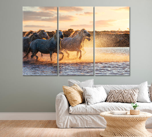 Wild White Horses of Camargue Running on Water Canvas Print-Canvas Print-CetArt-1 Panel-24x16 inches-CetArt
