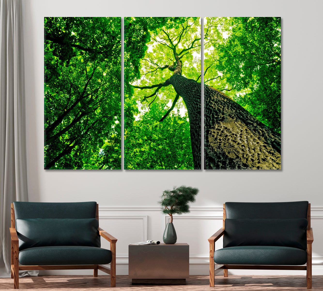 Forest Trees Canvas Print-Canvas Print-CetArt-1 Panel-24x16 inches-CetArt