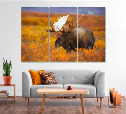 Elk in Autumn Field Canvas Print-Canvas Print-CetArt-1 Panel-24x16 inches-CetArt