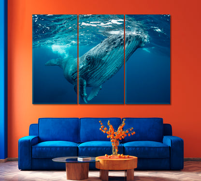 Whale Swimming in the Pacific Ocean Canvas Print-Canvas Print-CetArt-1 Panel-24x16 inches-CetArt