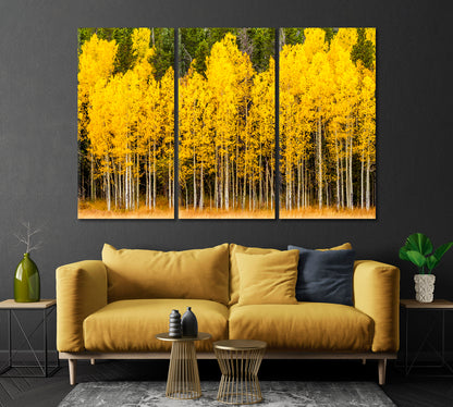 Yellow Aspen Tree in Mountains of Colorado Canvas Print-Canvas Print-CetArt-1 Panel-24x16 inches-CetArt