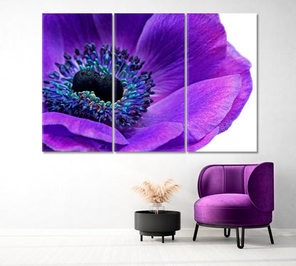 Ultra Violet Anemone Flower Canvas Print-Canvas Print-CetArt-1 Panel-24x16 inches-CetArt