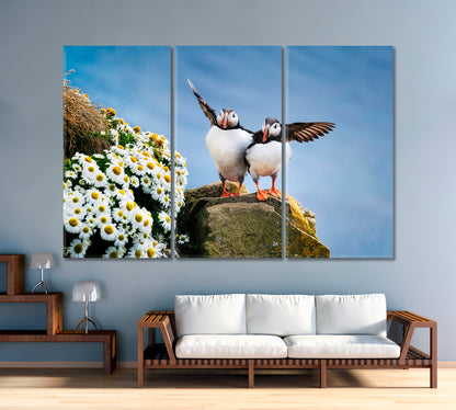 Seabirds Puffins Canvas Print-Canvas Print-CetArt-1 Panel-24x16 inches-CetArt