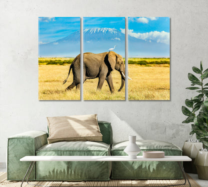 Heron on Elephant Head Against Mount Kilimanjaro Canvas Print-Canvas Print-CetArt-3 Panels-36x24 inches-CetArt