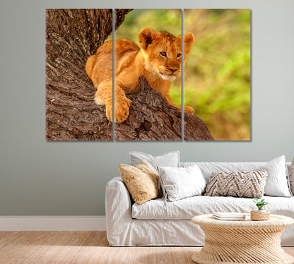 Cute Wild Lion Cub Resting on a Tree Canvas Print-Canvas Print-CetArt-1 Panel-24x16 inches-CetArt