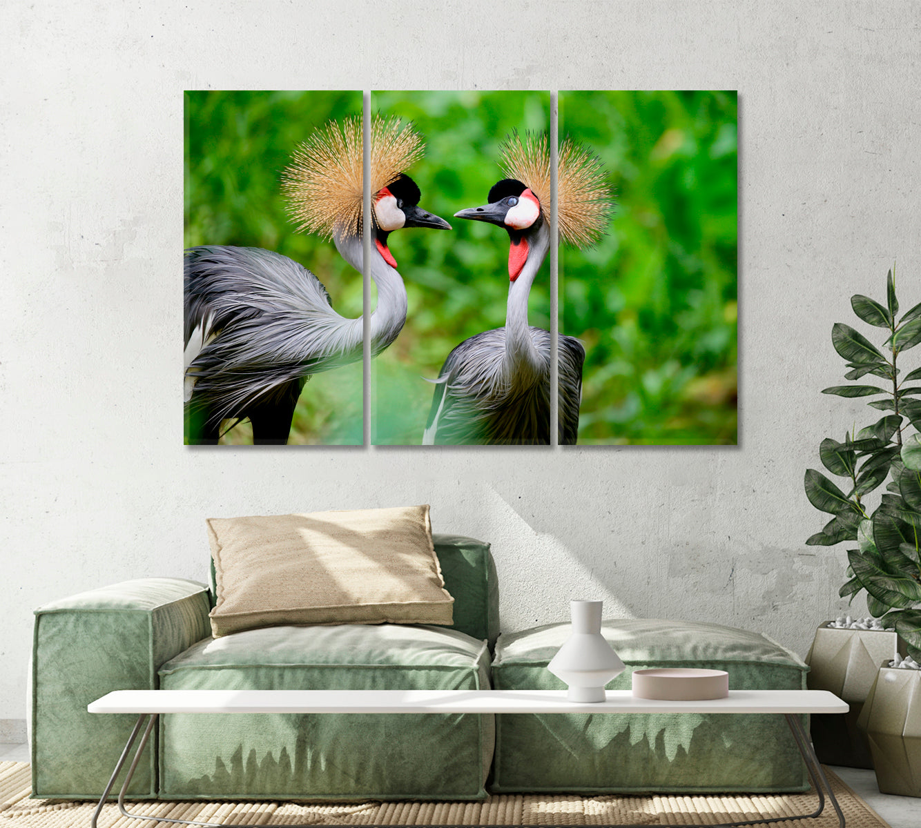 Grey Crowned Crane Birds Canvas Print-Canvas Print-CetArt-1 Panel-24x16 inches-CetArt