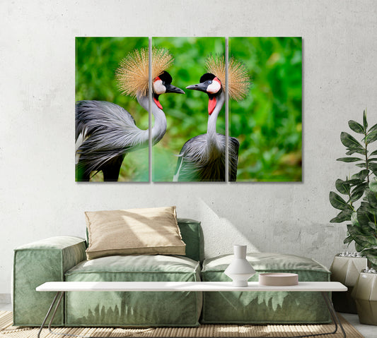 Grey Crowned Crane Birds Canvas Print-Canvas Print-CetArt-1 Panel-24x16 inches-CetArt