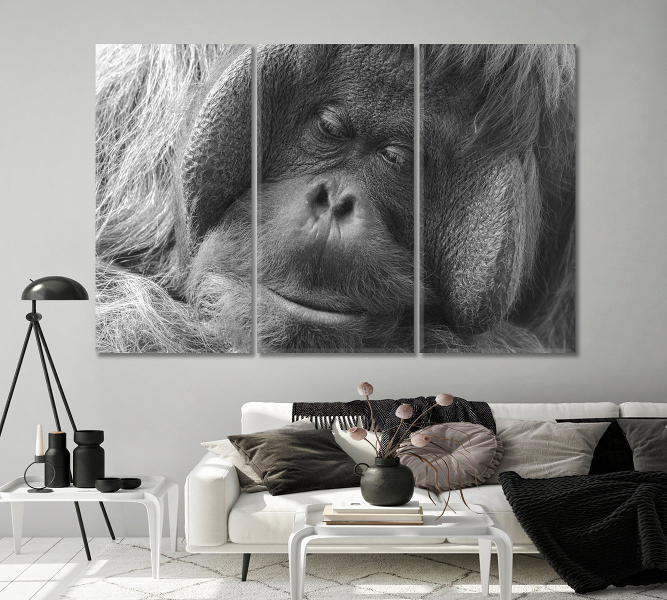 Orangutan in Black and White Canvas Print-Canvas Print-CetArt-1 Panel-24x16 inches-CetArt
