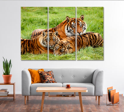 Sumatran Tigers Family Canvas Print-Canvas Print-CetArt-1 Panel-24x16 inches-CetArt