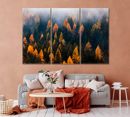 Autumn Forest in Fog Canvas Print-Canvas Print-CetArt-1 Panel-24x16 inches-CetArt