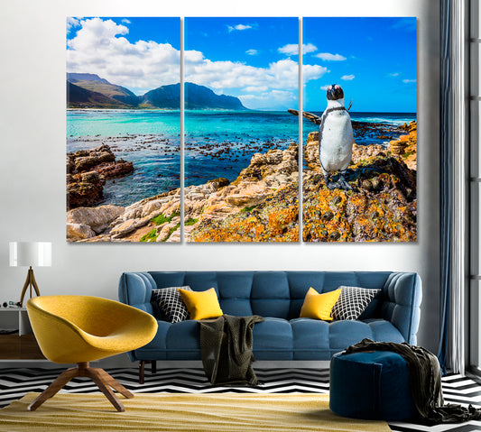 Penguin on Atlantic Ocean Beach Canvas Print-Canvas Print-CetArt-1 Panel-24x16 inches-CetArt