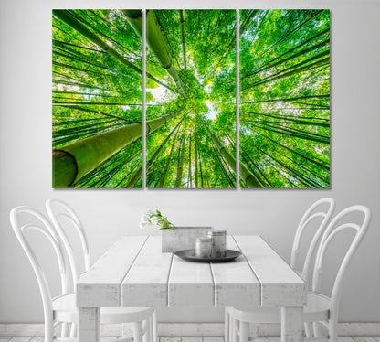 Green Bamboo Forest Bottom View Canvas Print-Canvas Print-CetArt-1 Panel-24x16 inches-CetArt