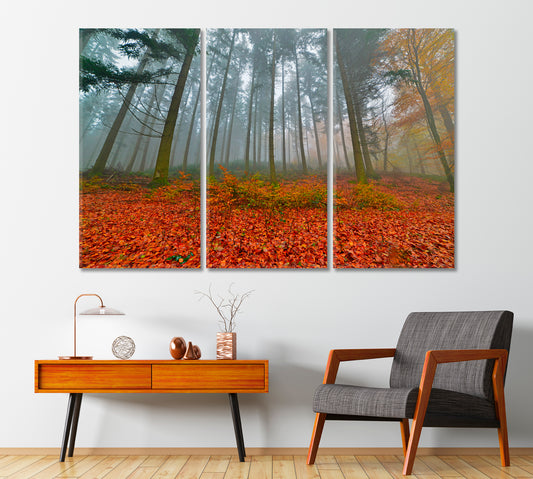 Foggy Autumn Pine Forest Canvas Print-Canvas Print-CetArt-1 Panel-24x16 inches-CetArt