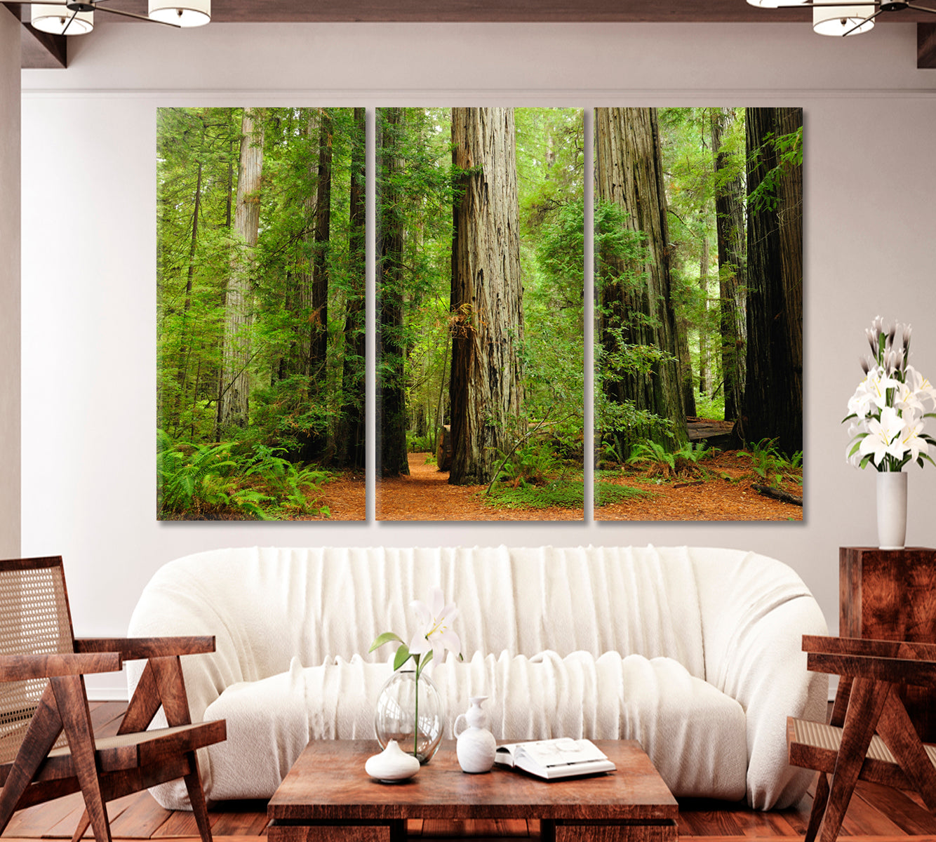 Redwood National Park California USA Canvas Print-Canvas Print-CetArt-1 Panel-24x16 inches-CetArt