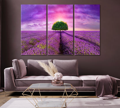 Lonely Tree in Beautiful Lavender Field Provence Canvas Print-Canvas Print-CetArt-1 Panel-24x16 inches-CetArt