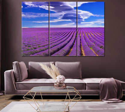 Lavender Field in France Canvas Print-Canvas Print-CetArt-1 Panel-24x16 inches-CetArt