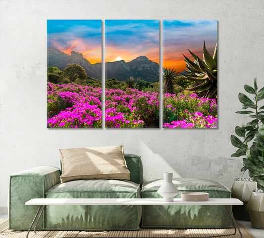 Kirstenbosch National Botanical Garden Cape Town South Africa Canvas Print-Canvas Print-CetArt-1 Panel-24x16 inches-CetArt