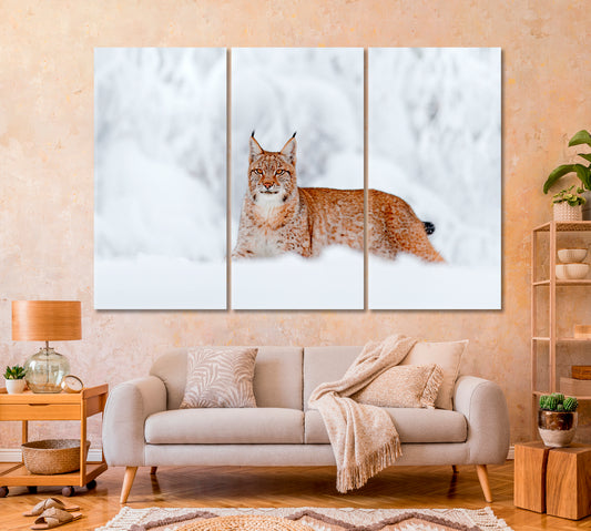 Wild Lynx in the Snowy Forest Canvas Print-Canvas Print-CetArt-1 Panel-24x16 inches-CetArt