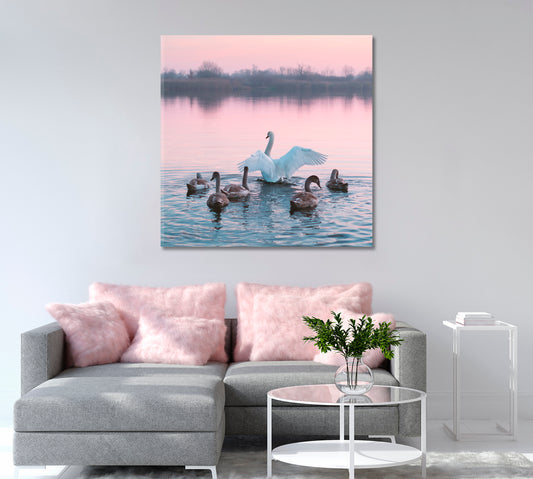 Swans Family in Pink Lake Canvas Print-Canvas Print-CetArt-1 panel-12x12 inches-CetArt