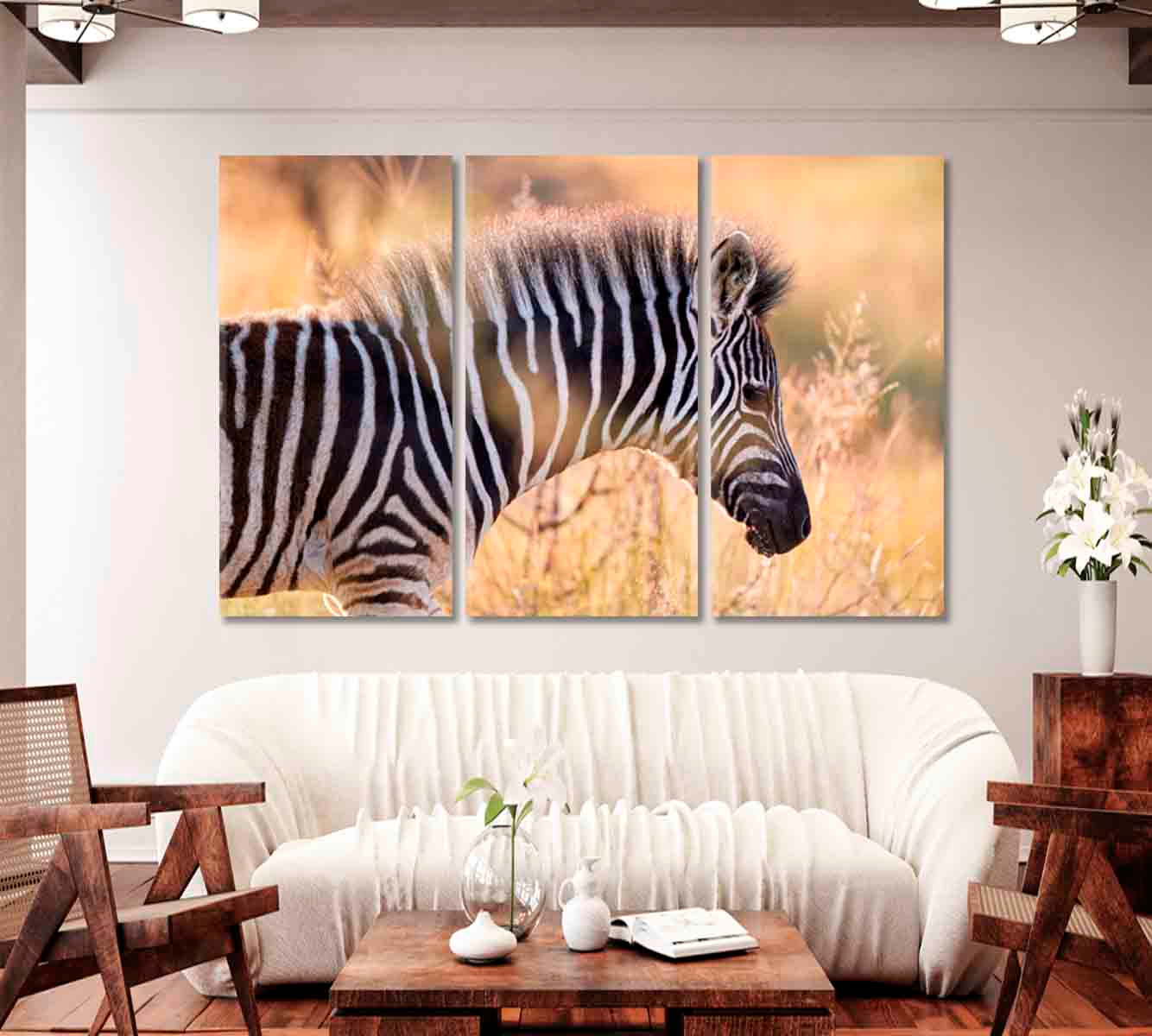 Hartmann's Mountain Zebra Canvas Print-Canvas Print-CetArt-1 Panel-24x16 inches-CetArt