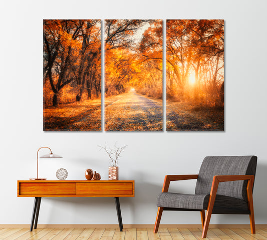 Colorful Landscape with Autumn Forest Road Canvas Print-Canvas Print-CetArt-1 Panel-24x16 inches-CetArt