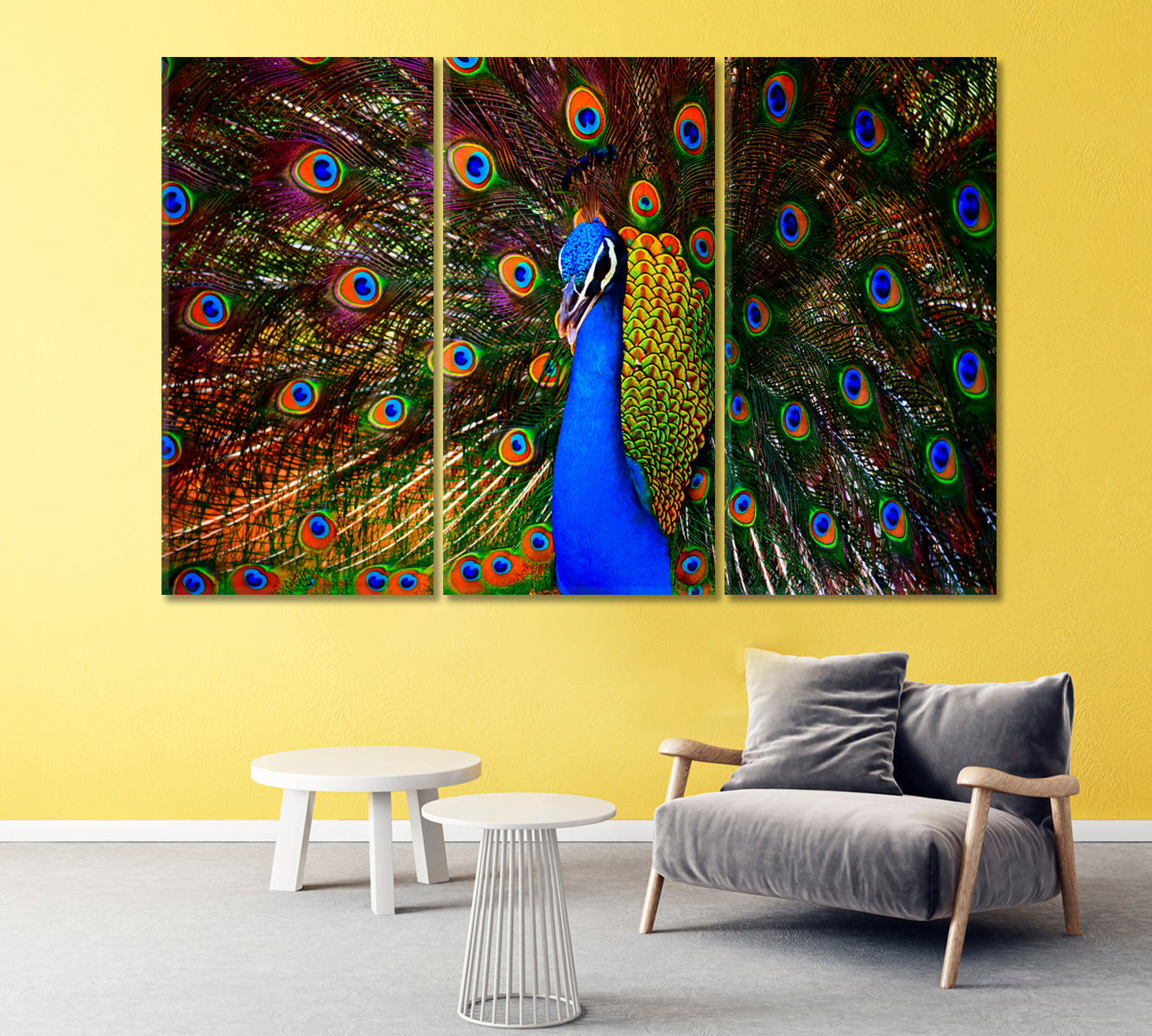 Colorful Dancing Peacock Canvas Print-Canvas Print-CetArt-1 Panel-24x16 inches-CetArt