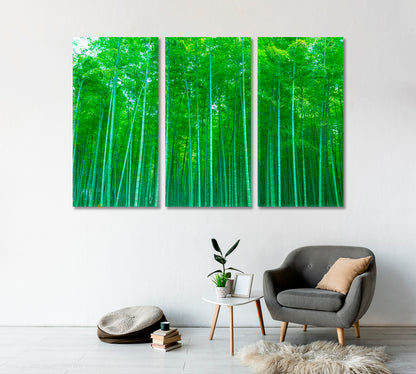 Dense Bamboo Forest Canvas Print-Canvas Print-CetArt-1 Panel-24x16 inches-CetArt