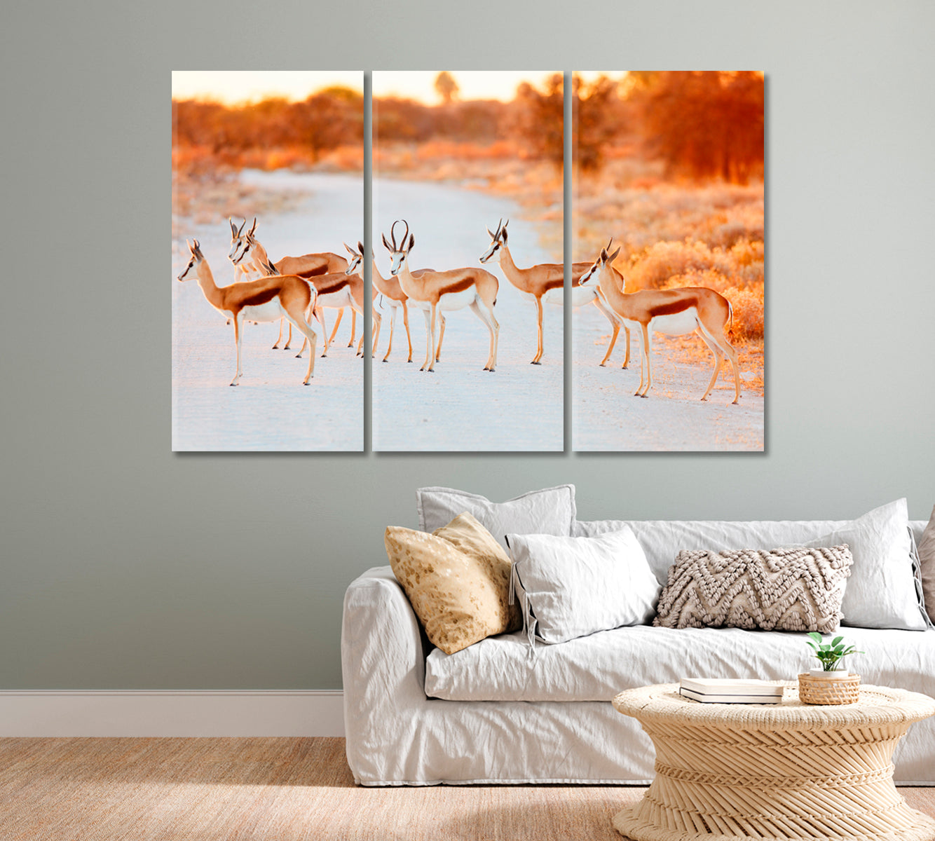 Springbok Herd in Etosha National Park Namibia Canvas Print-Canvas Print-CetArt-1 Panel-24x16 inches-CetArt