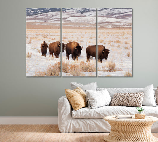 Bison Herd In Winter Canvas Print-Canvas Print-CetArt-1 Panel-24x16 inches-CetArt