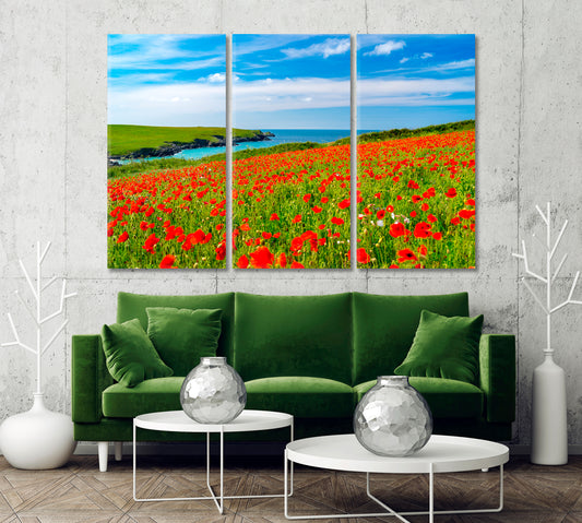 Wildflowers Field with Poppies Canvas Print-Canvas Print-CetArt-1 Panel-24x16 inches-CetArt