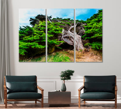 New Zealand Horizontal Forest Canvas Print-Canvas Print-CetArt-1 Panel-24x16 inches-CetArt