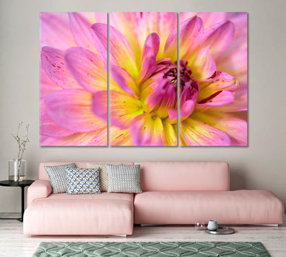 Dahlia Flower Canvas Print-Canvas Print-CetArt-1 Panel-24x16 inches-CetArt