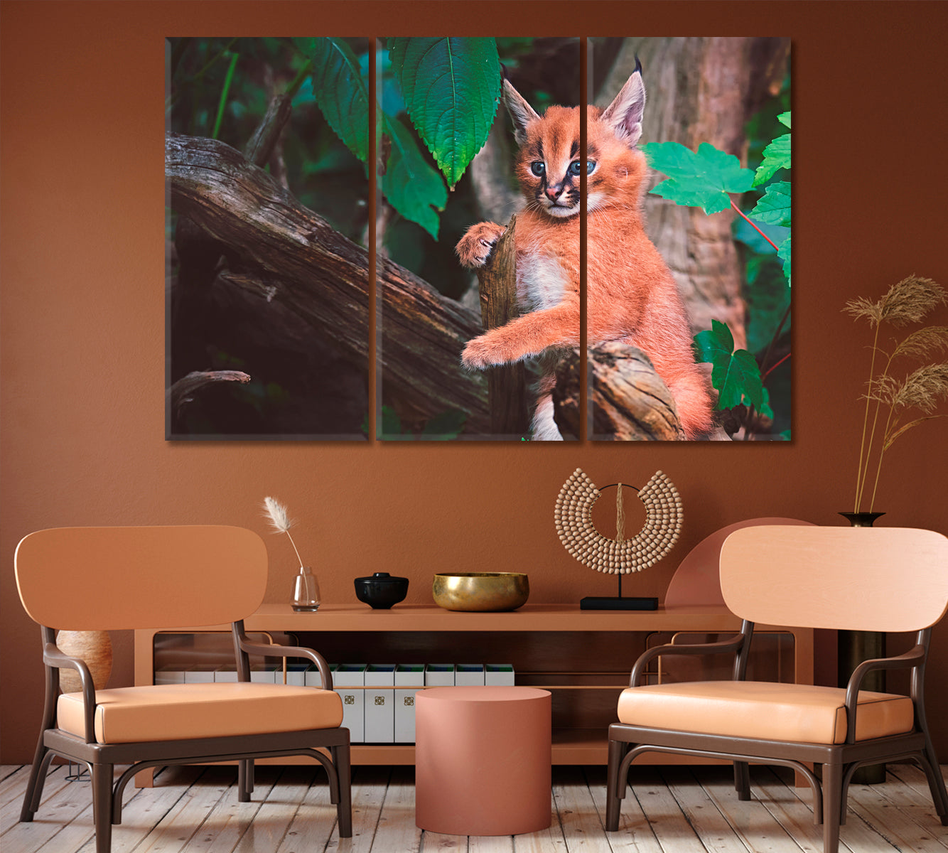 Cute Caracal Canvas Print-Canvas Print-CetArt-1 Panel-24x16 inches-CetArt