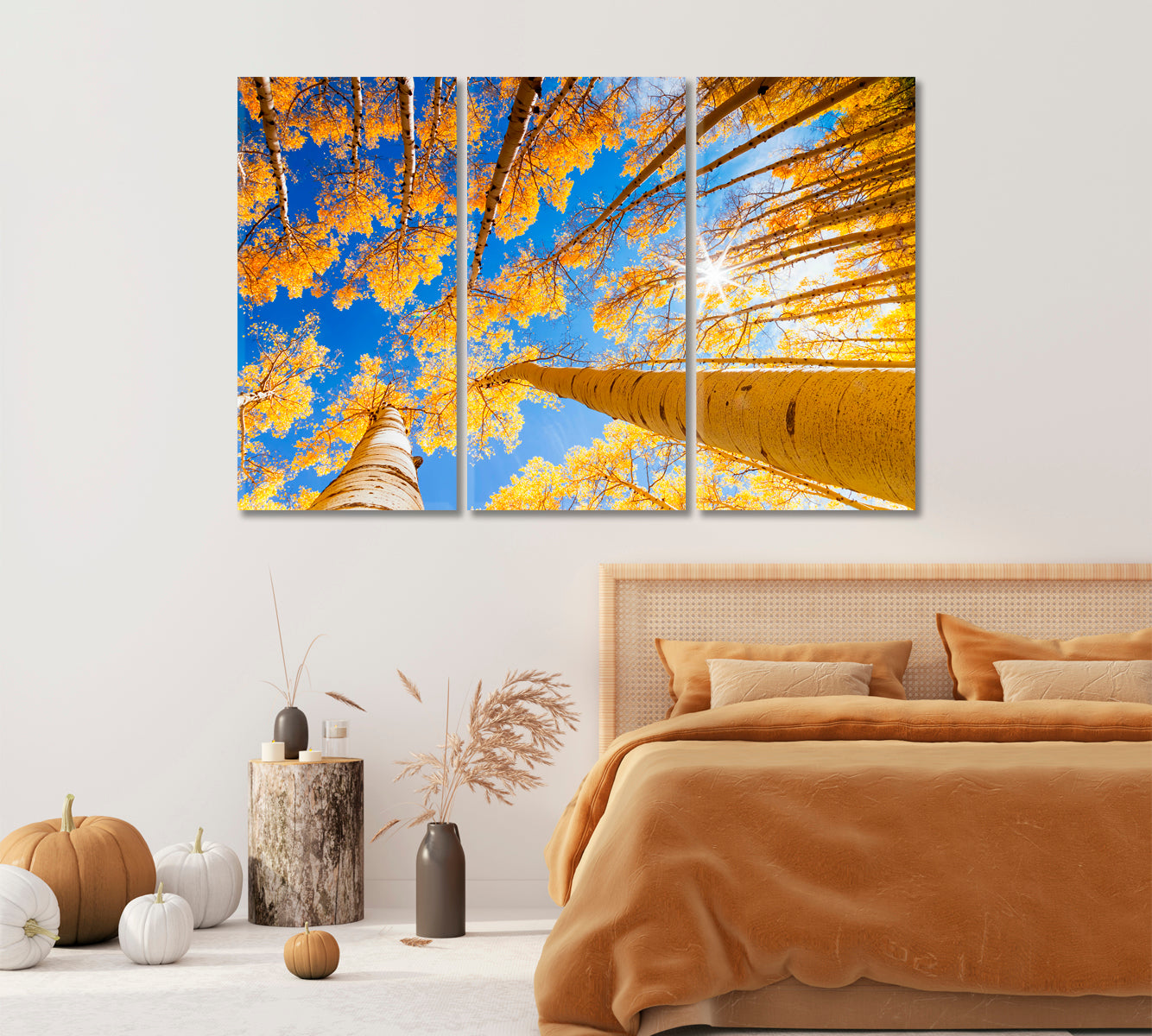 Aspen Forest in Autumn Canvas Print-Canvas Print-CetArt-1 Panel-24x16 inches-CetArt