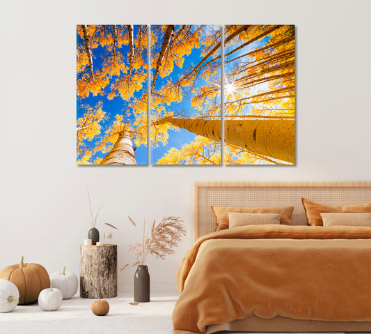 Aspen Forest in Autumn Canvas Print-Canvas Print-CetArt-1 Panel-24x16 inches-CetArt