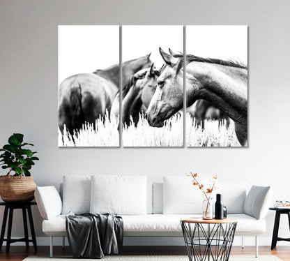 Herd of Horses in Black and White Canvas Print-Canvas Print-CetArt-1 Panel-24x16 inches-CetArt
