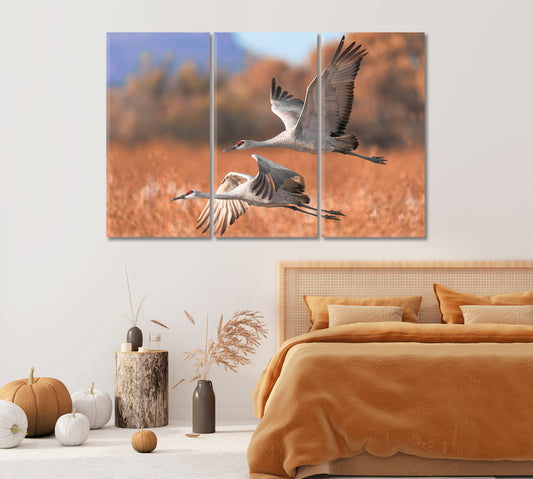 Two Beautiful Sandhill Cranes Canvas Print-Canvas Print-CetArt-1 Panel-24x16 inches-CetArt